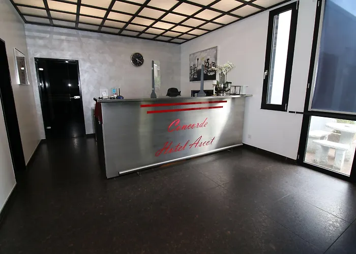 酒店 阿斯科特康恩得酒店 3*